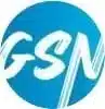 gsn media group logo