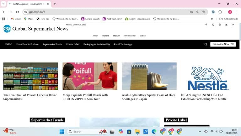 GSN News website designed by Core Web UK